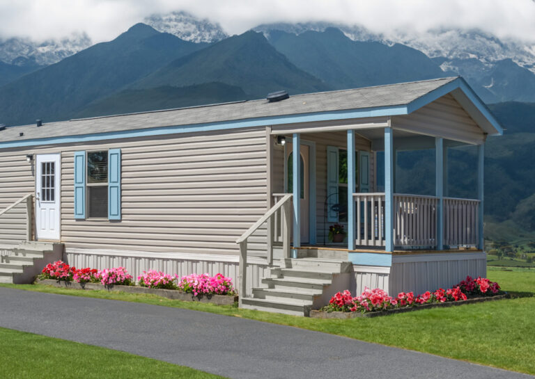 Tiny Singlewide 12×44-11A